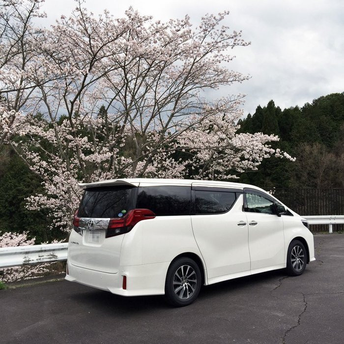 TOYOTA 日本原廠 2016~2019 ALPHARD 晴雨窗 密合度佳 風切聲小 照型優美